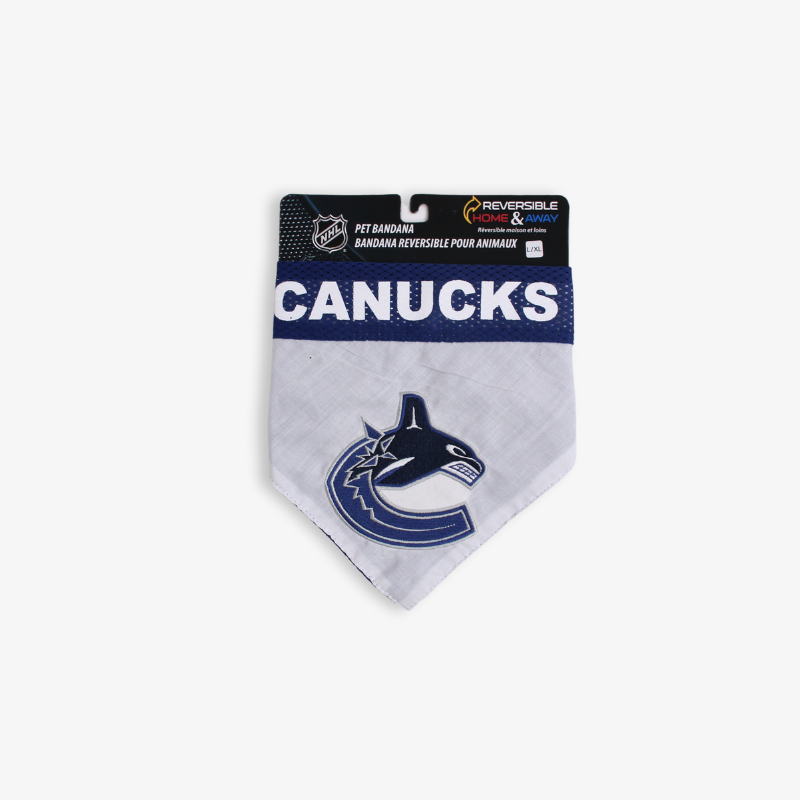 Canucks 2024 pet jersey
