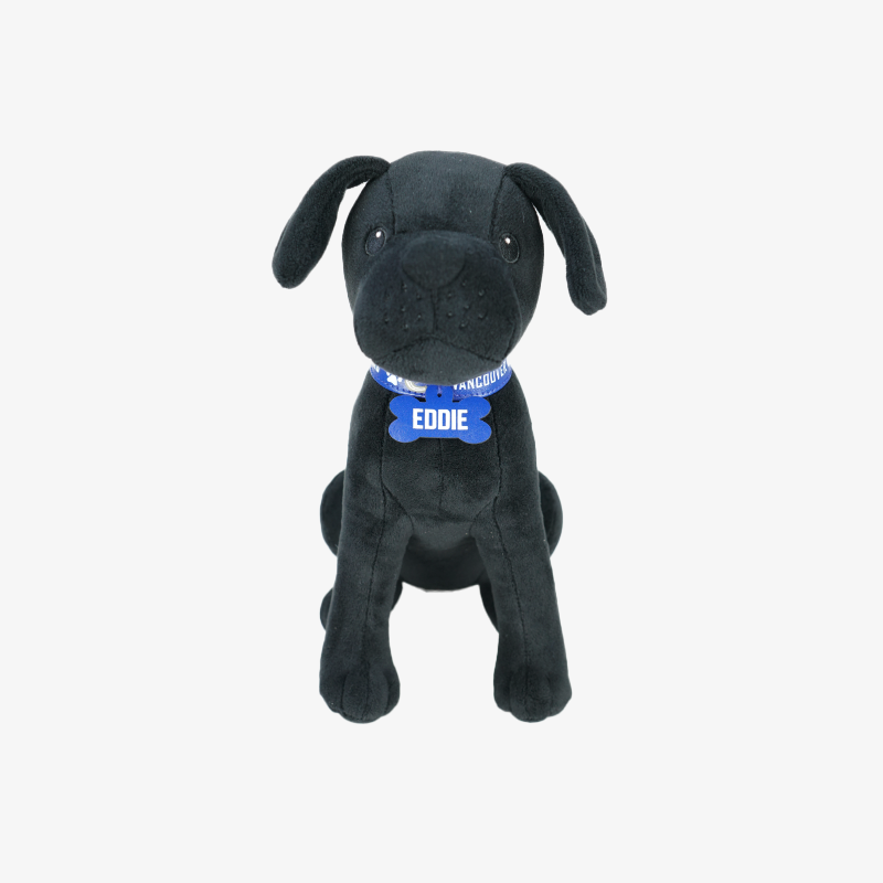 Vancouver Canucks Eddie Plush
