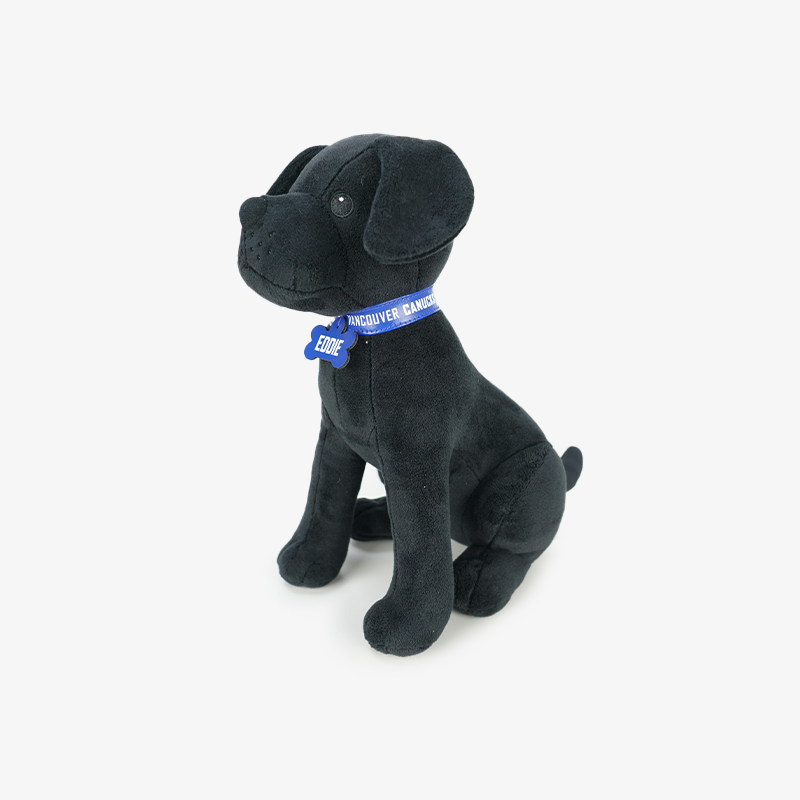 Vancouver Canucks Eddie Plush