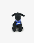 Vancouver Canucks Eddie Plush Keychain
