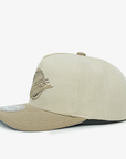 Vancouver Canucks Mitchell & Ness Youth Skate Tonal Beige Hat