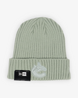 Vancouver Canucks New Era Colour Pack Green Orca Knit Beanie
