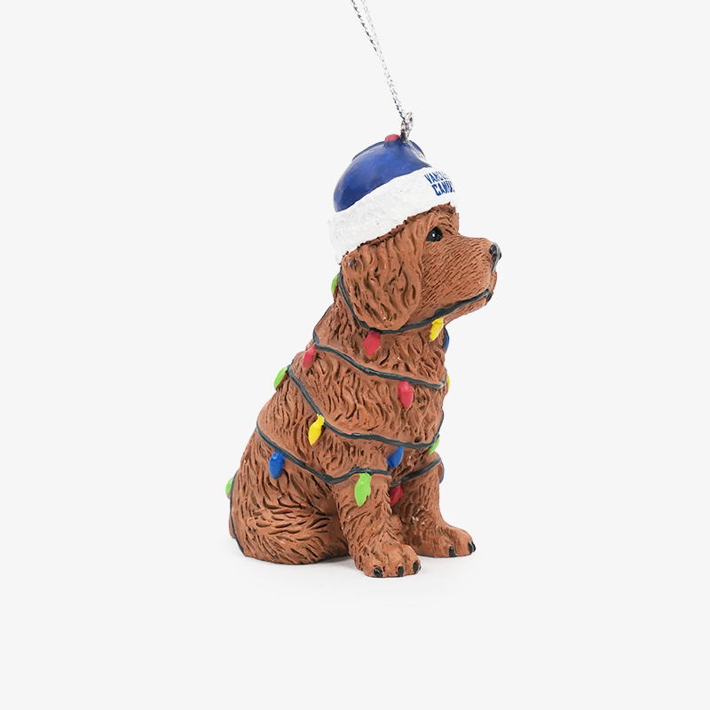 Vancouver Canucks Dog with Lights Ornament