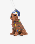 Vancouver Canucks Dog with Lights Ornament