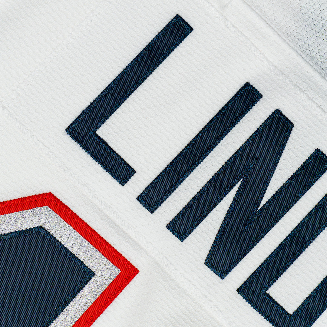 Close-up of a brand logo with 'LIN' on a textured background