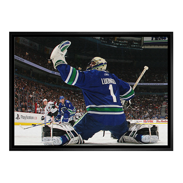 Vancouver Canucks Roberto Luongo 20x29 Framed Canvas Glove Save