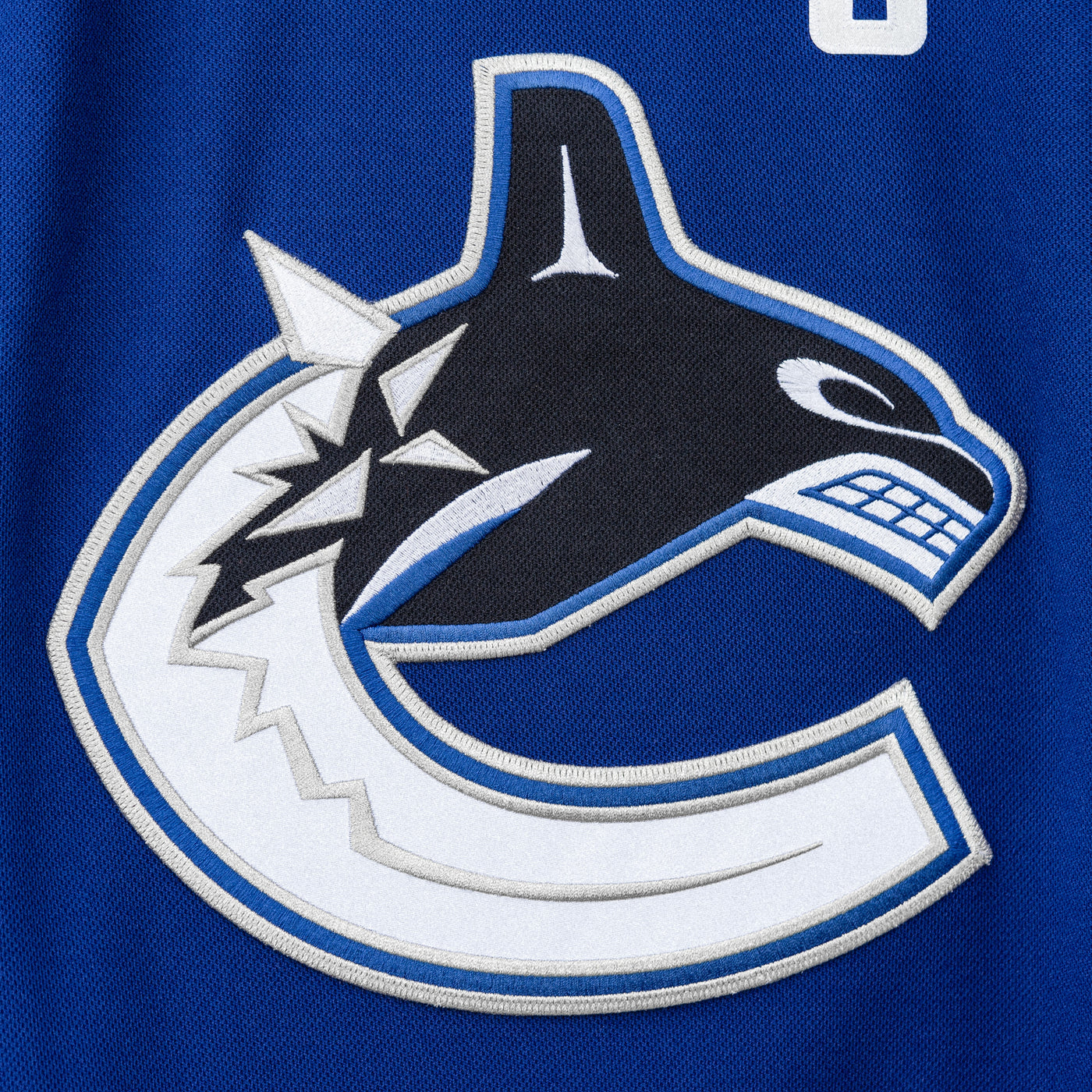 Vancouver Canucks adidas Home Primegreen Authentic Pro Custom Jersey -  Royal in 2023